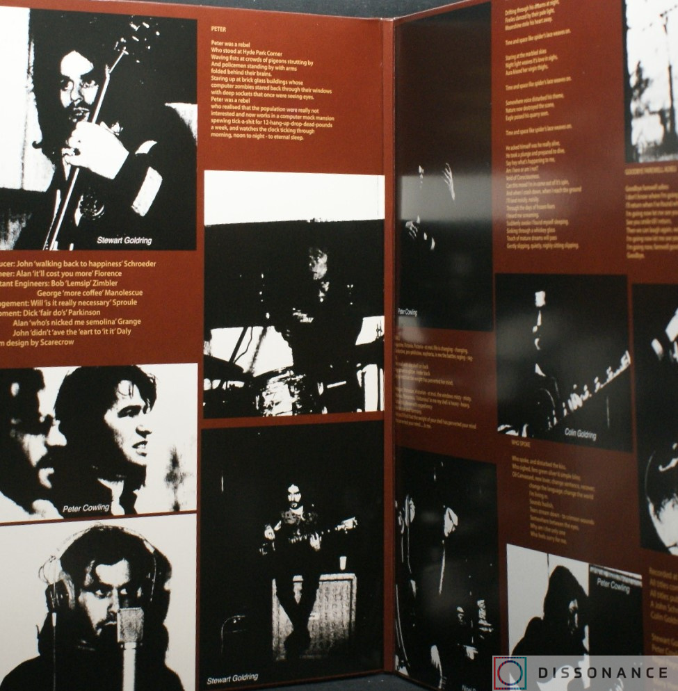 Виниловая пластинка Gnidrolog - In Spite Of Harrys Toe Nail (1972) - фото 1