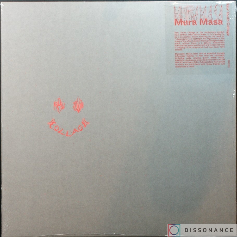 Виниловая пластинка Mura Masa - RYC (2020) - фото обложки