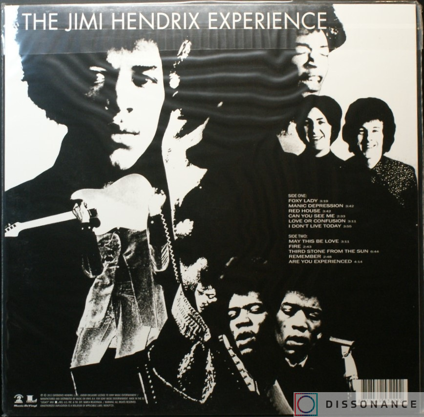 Виниловая пластинка Jimi Hendrix - Are You Experienced (1967) - фото 1