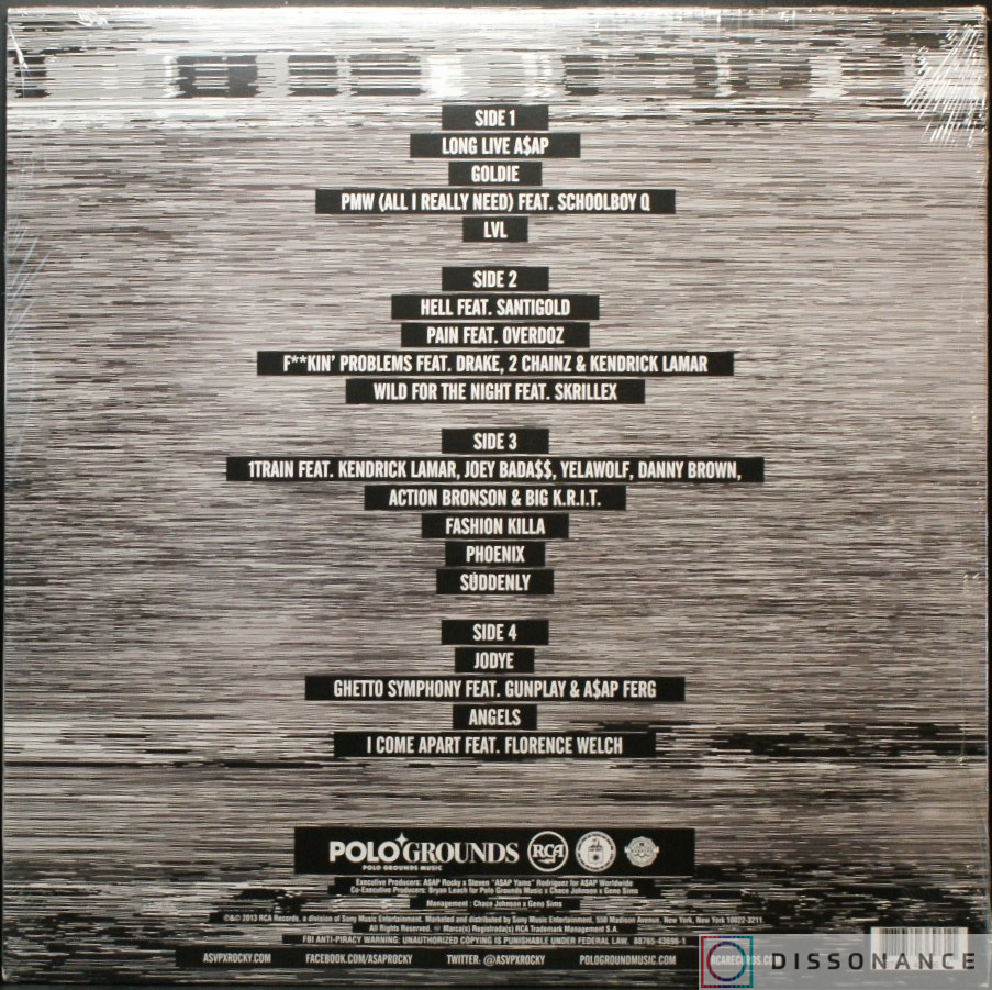 Виниловая пластинка Asap Rocky - Long Live Asap (2013) - фото 1