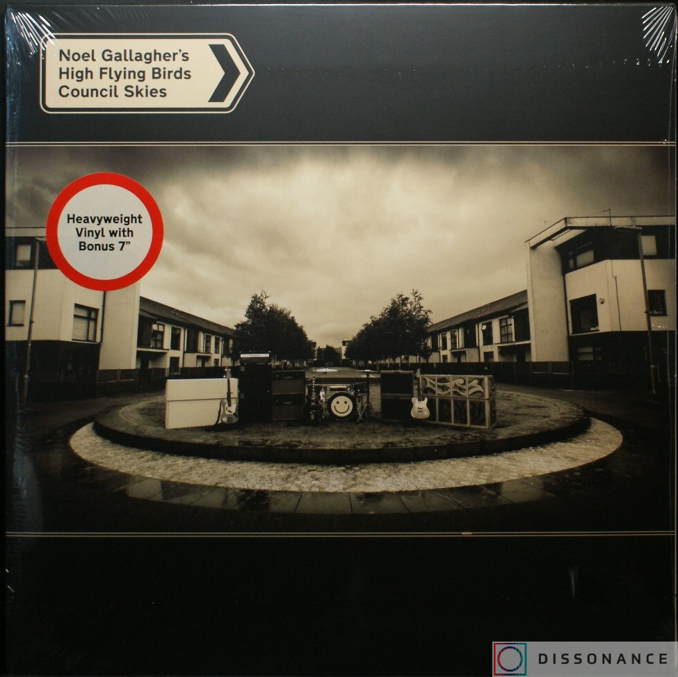 Виниловая пластинка Noel Gallagher - Council Skies (2023) - фото обложки