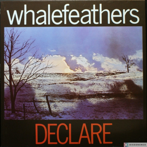 Виниловая пластинка Whalefeathers - Declare (1969)
