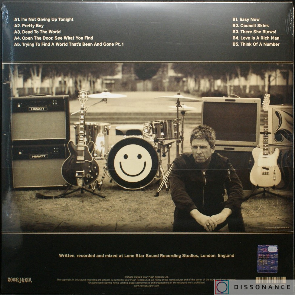 Виниловая пластинка Noel Gallagher - Council Skies (2023) - фото 1