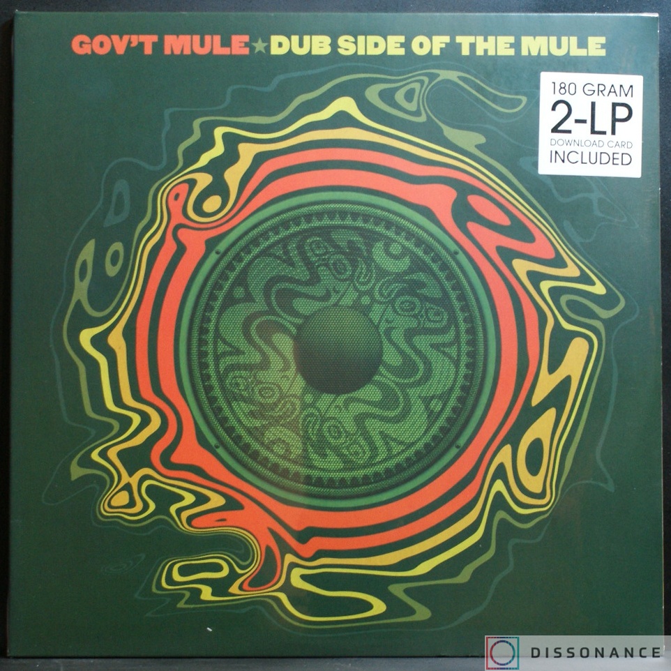 Виниловая пластинка Govt Mule - Dub Side Of The Mule (2006) - фото обложки