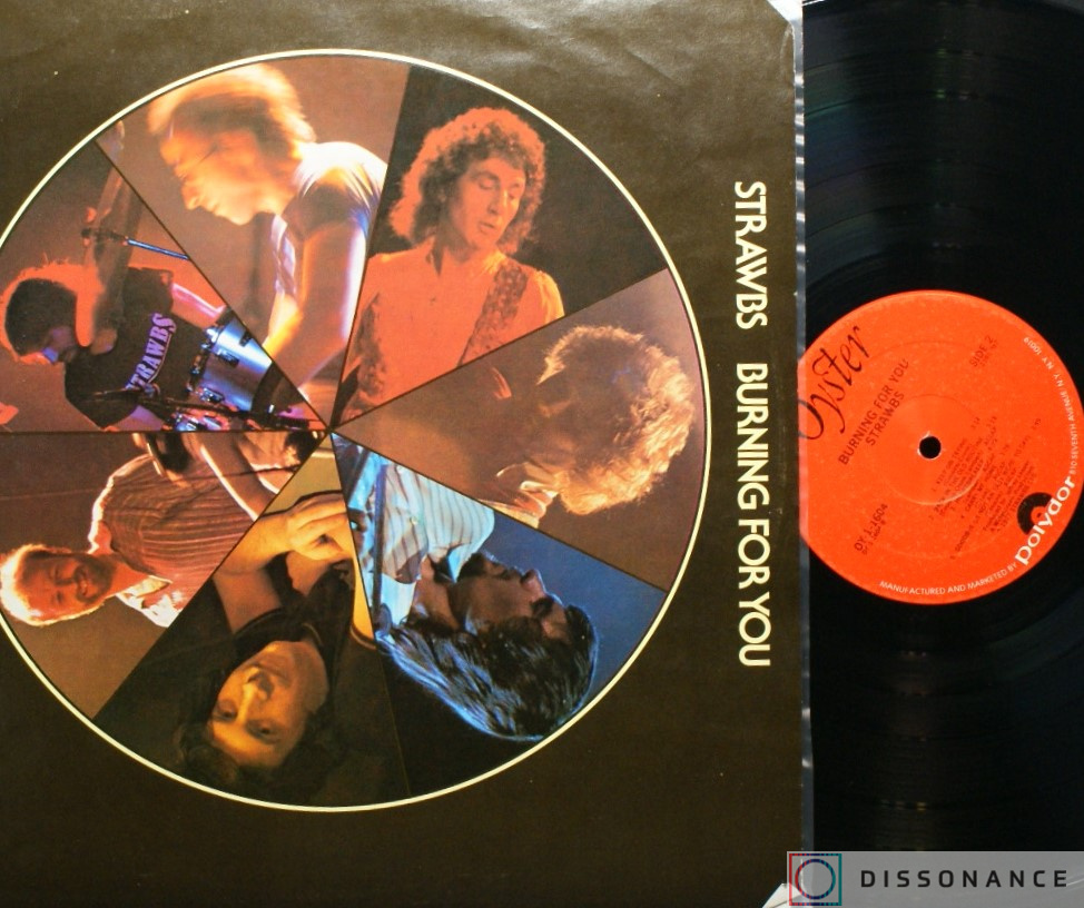 Виниловая пластинка Strawbs - Burning For You (1977) - фото 2
