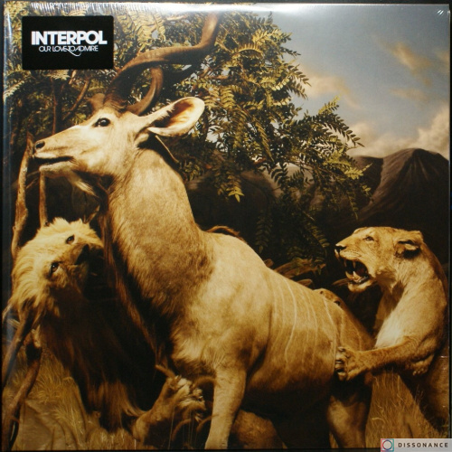 Виниловая пластинка Interpol - Our Love To Admire (2007)