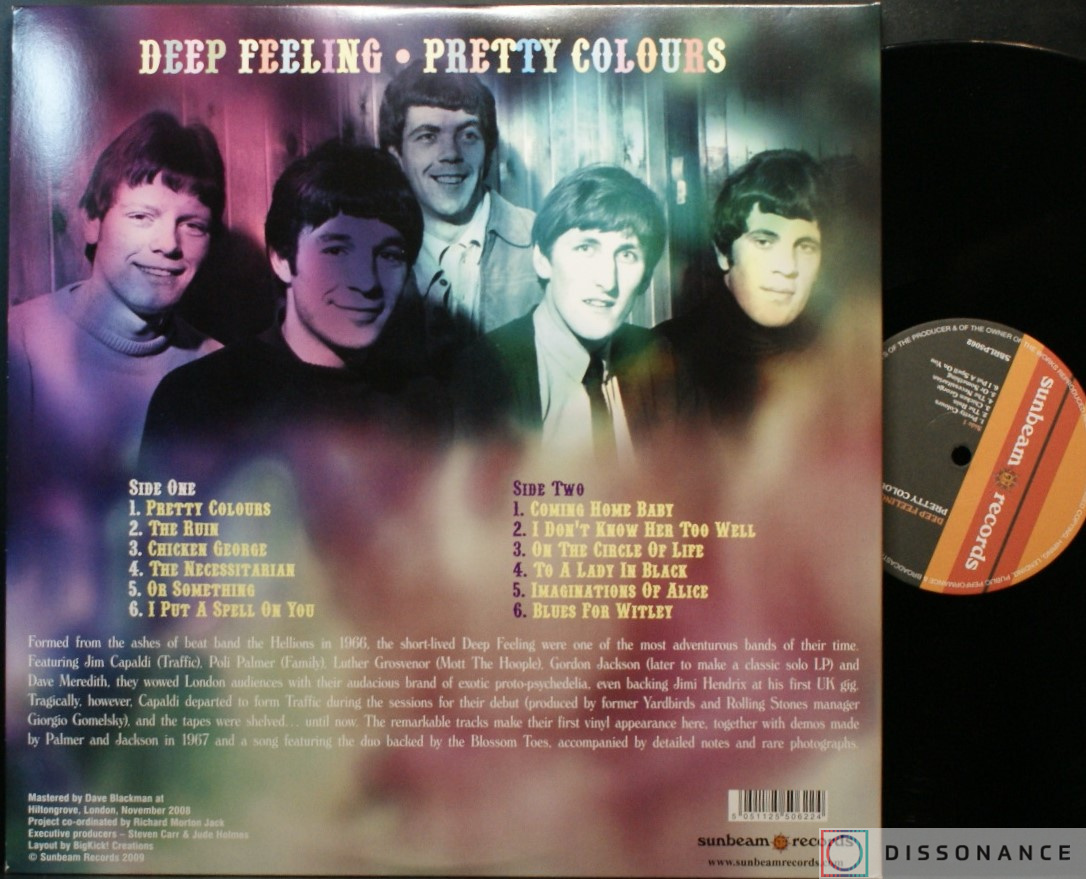 Виниловая пластинка Deep Feeling - Pretty Colours (2009) - фото 2
