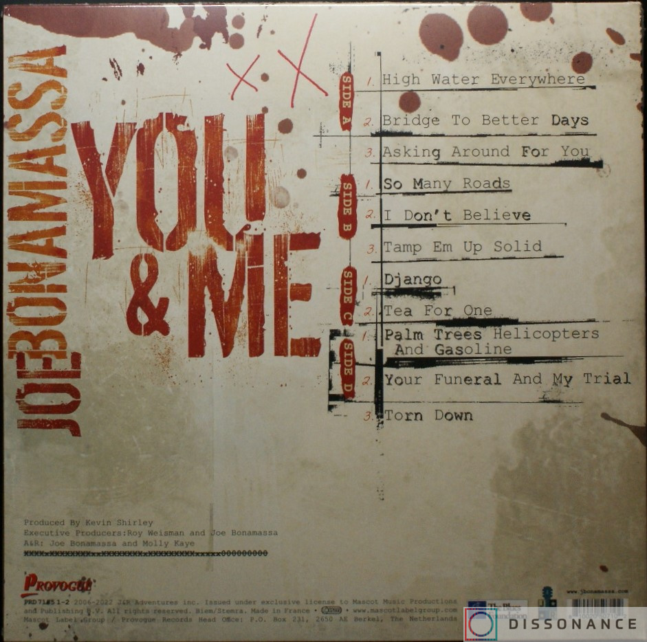 Виниловая пластинка Joe Bonamassa - You And Me (2006) - фото 1