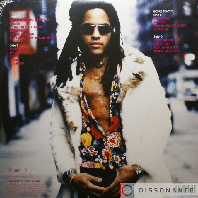 Виниловая пластинка Lenny Kravitz - Are You Gonna Go My Way (1993) - фото 1