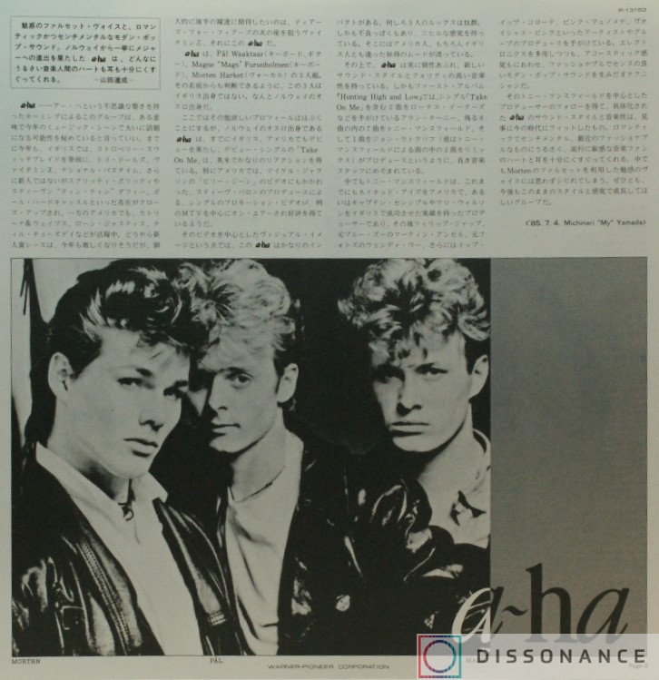 Виниловая пластинка A-ha - Hunting High And Low (1985) - фото 3