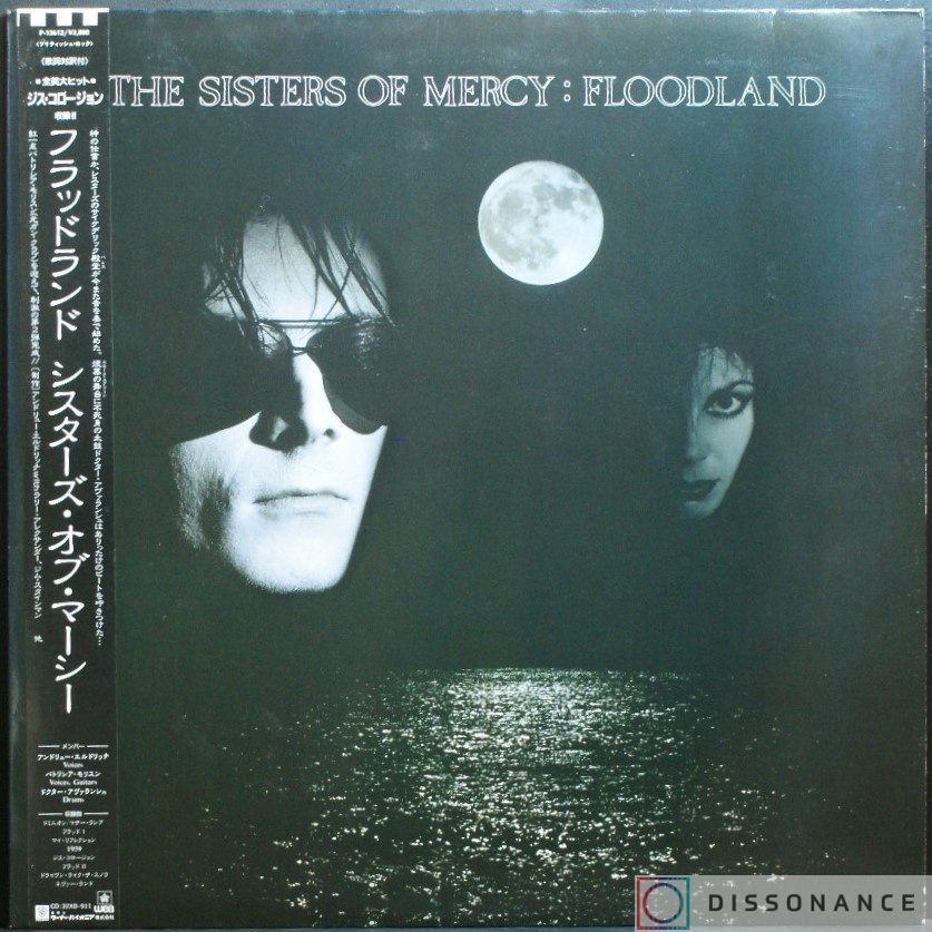 Виниловая пластинка Sisters Of Mercy - Floodland (1988) - фото обложки