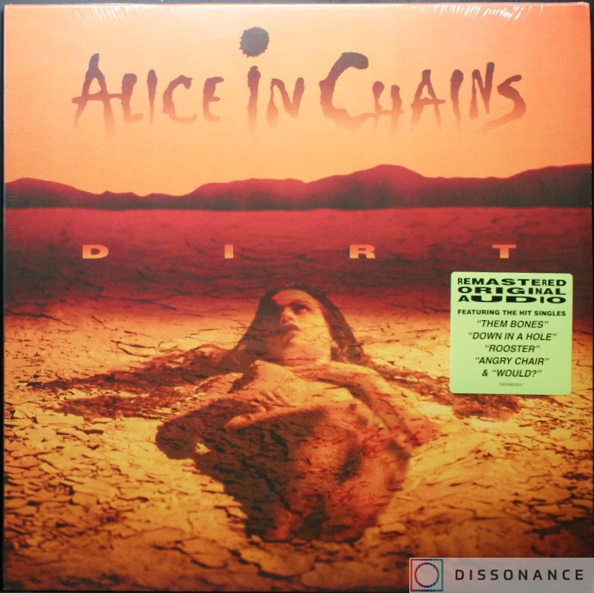 Виниловая пластинка Alice In Chains - Dirt (1992) - фото обложки