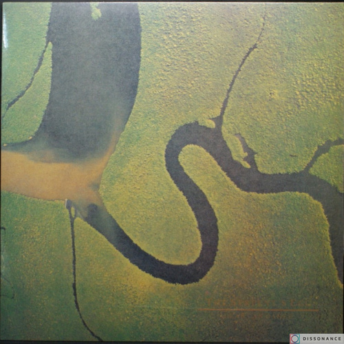 Виниловая пластинка Dead Can Dance - Serpents Egg (1988)