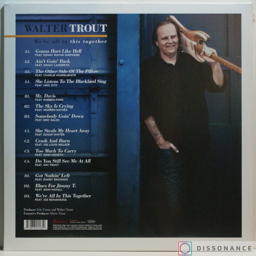 Виниловая пластинка Walter Trout - We Are All In This Together (2017) - фото 1