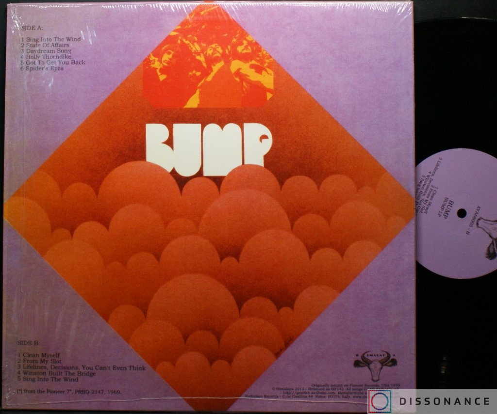 Виниловая пластинка Bump - Bump (1970) - фото 1