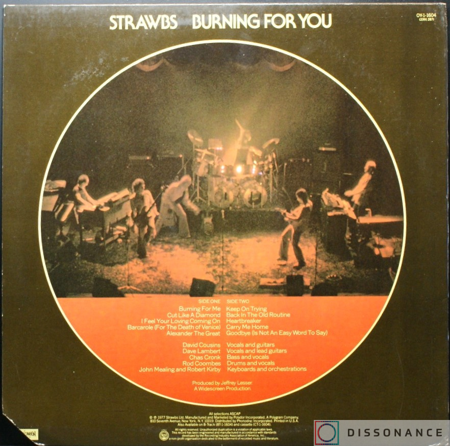 Виниловая пластинка Strawbs - Burning For You (1977) - фото 1