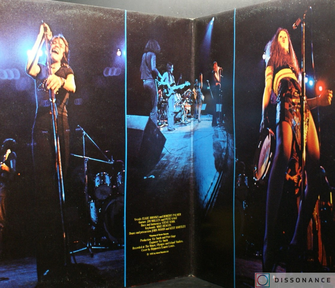 Виниловая пластинка Vinegar Joe - Rock And Roll Gypsies (1972) - фото 1