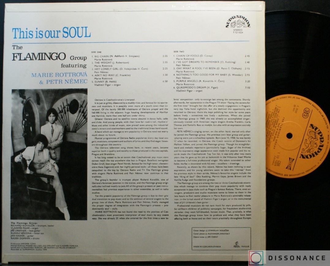 Виниловая пластинка Flamingo Group - This Is Our Soul (1971) - фото 1