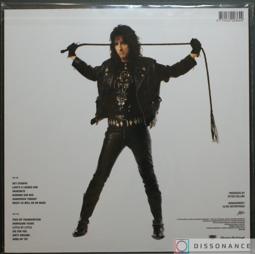 Alice Cooper - Hey Stoopid (1991) купить виниловую пластинку, цена 4 ...