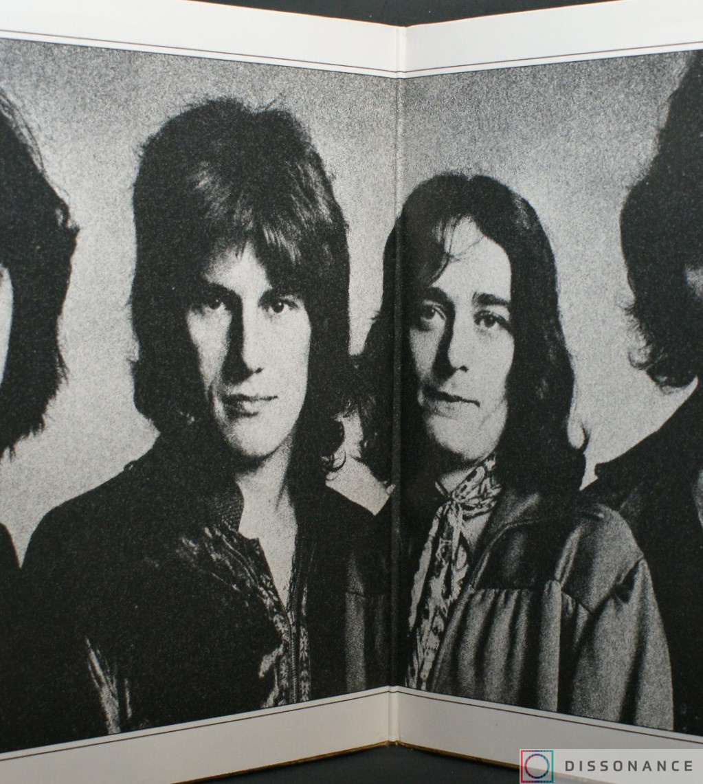 Виниловая пластинка Ten Years After - Hear Them Calling (1976) - фото 1