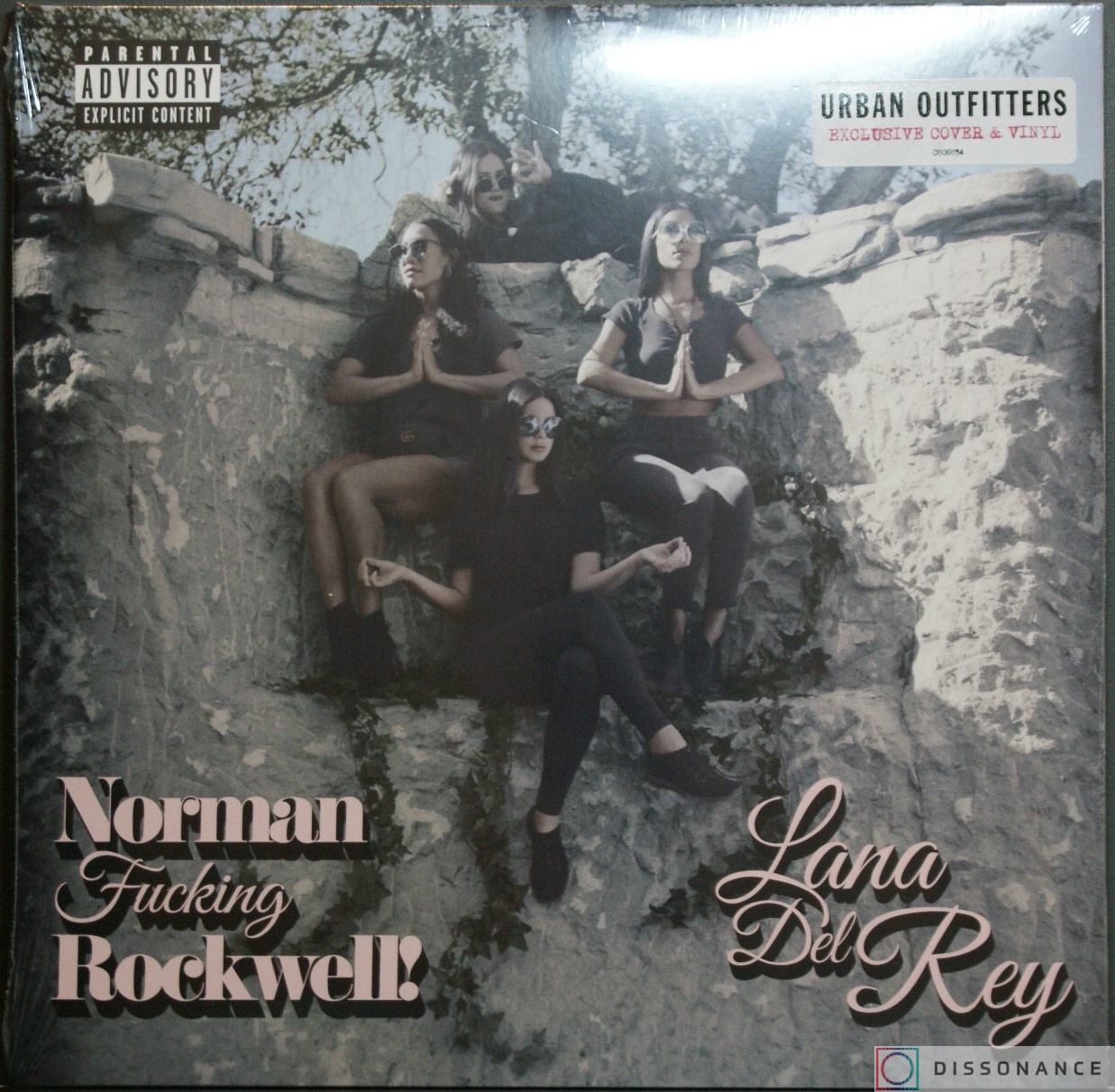 Виниловая пластинка Lana Del Rey - Norman Fucking Rockwell (2019) - фото обложки