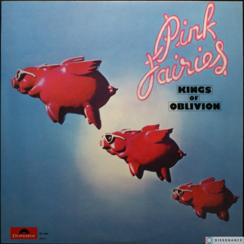 Виниловая пластинка Pink Fairies - Kings Of Oblivion (1973)
