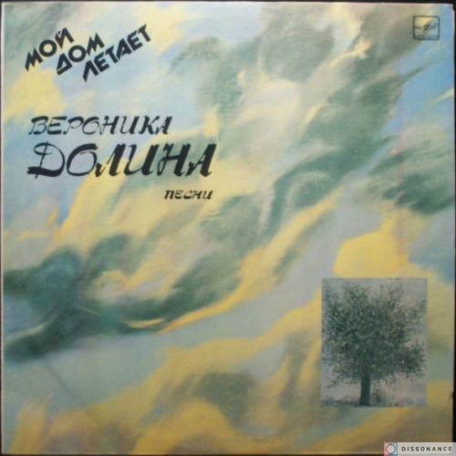Виниловая пластинка Вероника Долина - Мой Дом Летает (1988)