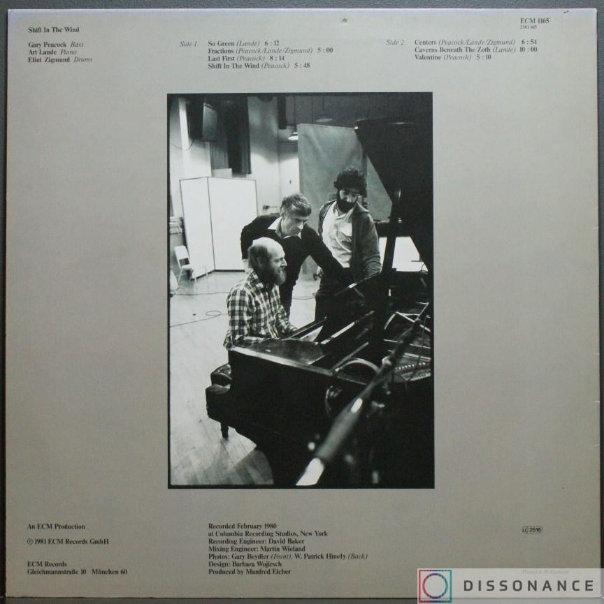 Виниловая пластинка Gary Peacock, Art Lande, Eliot Zigmund - Shift In The Wind (1980) - фото 1