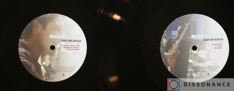 Виниловая пластинка Audioslave - Out Of Exile (2005) - фото 2