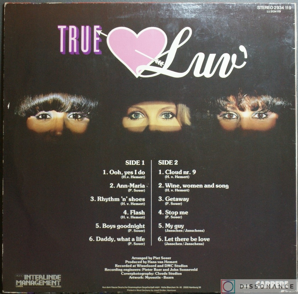 Виниловая пластинка Luv - True Luv (1979) - фото 1