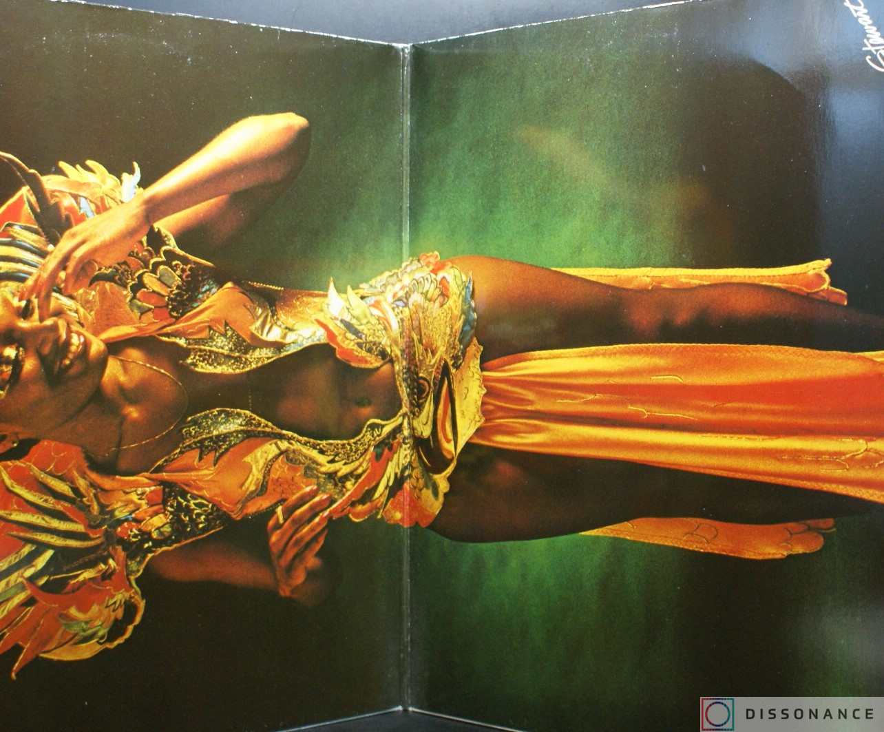 Виниловая пластинка Amii Stewart - Paradise Bird (1979) - фото 1