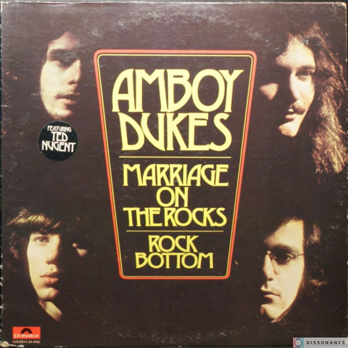 Виниловая пластинка Amboy Dukes - Marriage On The Rocks (1970)