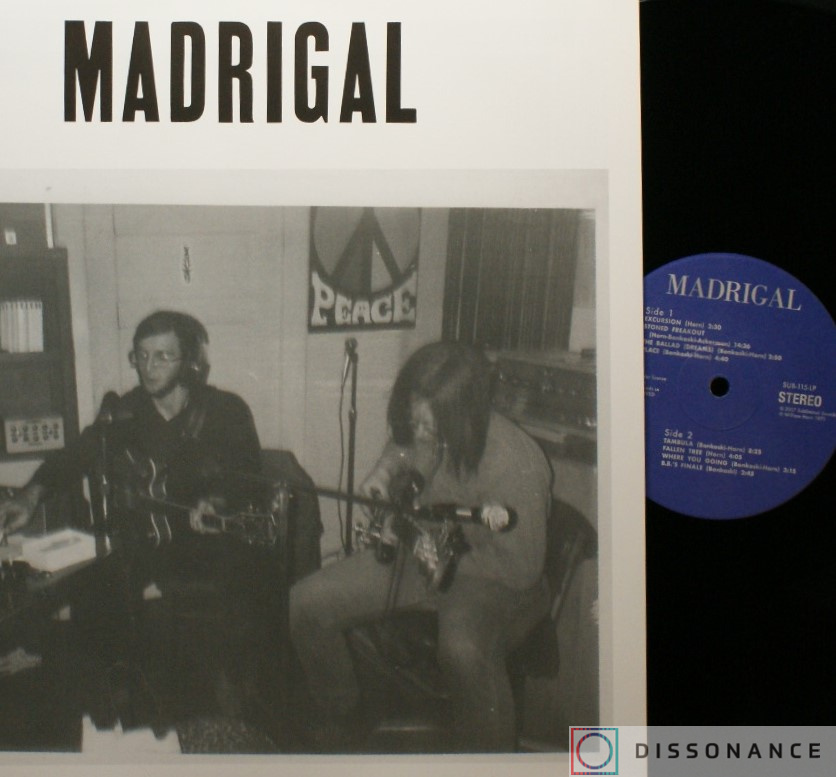 Виниловая пластинка Madrigal - Madrigal (1971) - фото 2