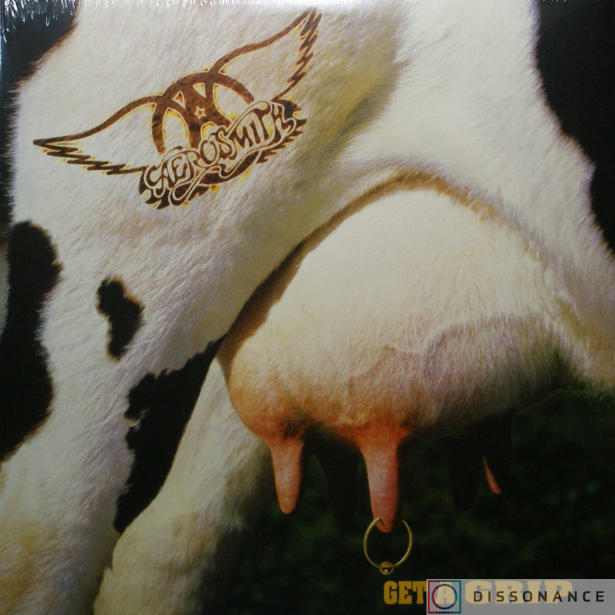 Виниловая пластинка Aerosmith - Get A Grip (1993) - фото обложки