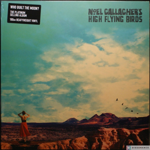 Виниловая пластинка Noel Gallagher - Who Built The Moon (2017)