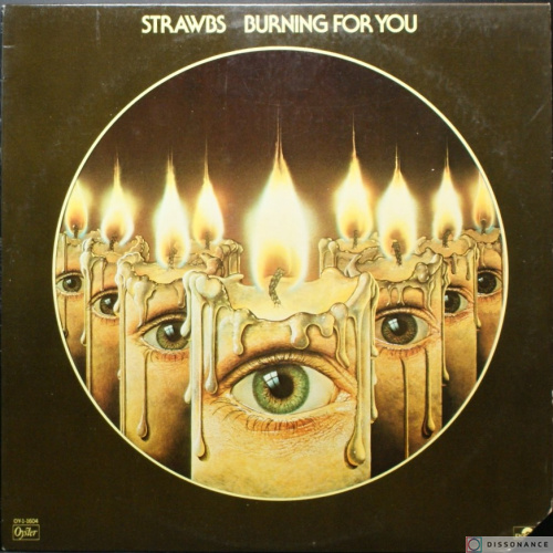 Виниловая пластинка Strawbs - Burning For You (1977)