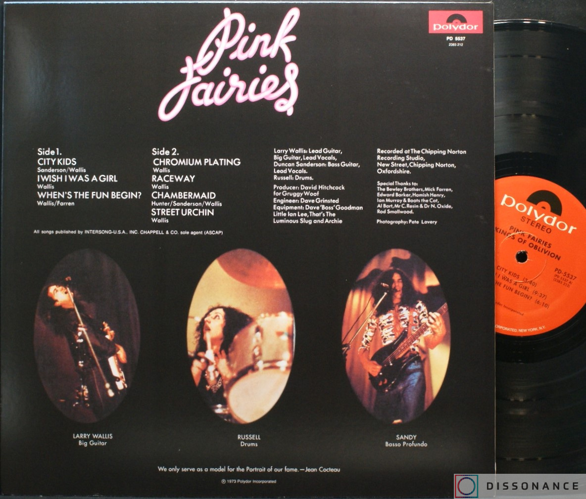 Виниловая пластинка Pink Fairies - Kings Of Oblivion (1973) - фото 1